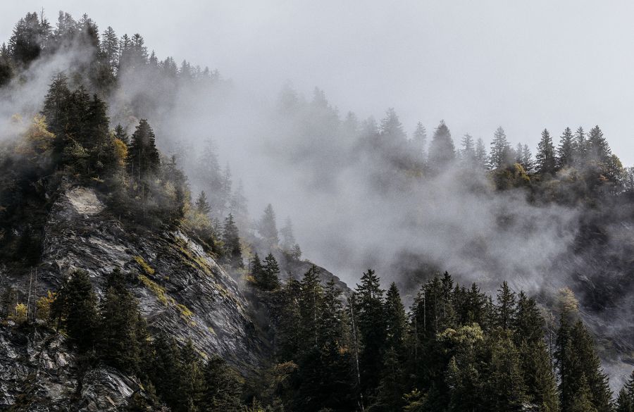 Second tier, first choice: The smart side of investing in subordinated mortgages.