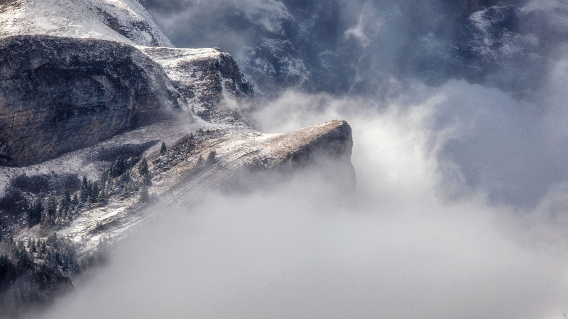 Get to know  our dedicated team